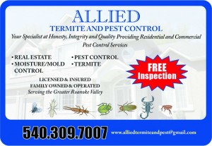 Allied Termite and Pest Control