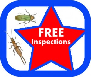 Inspections - ALLIED Termite and Pest Control